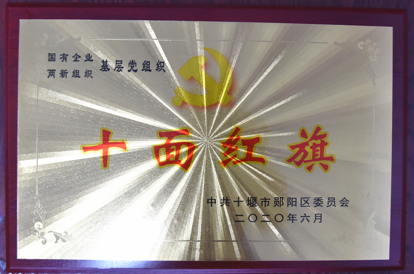 基(jī)層黨組(zǔ)織“十面(miàn)紅旗”2020