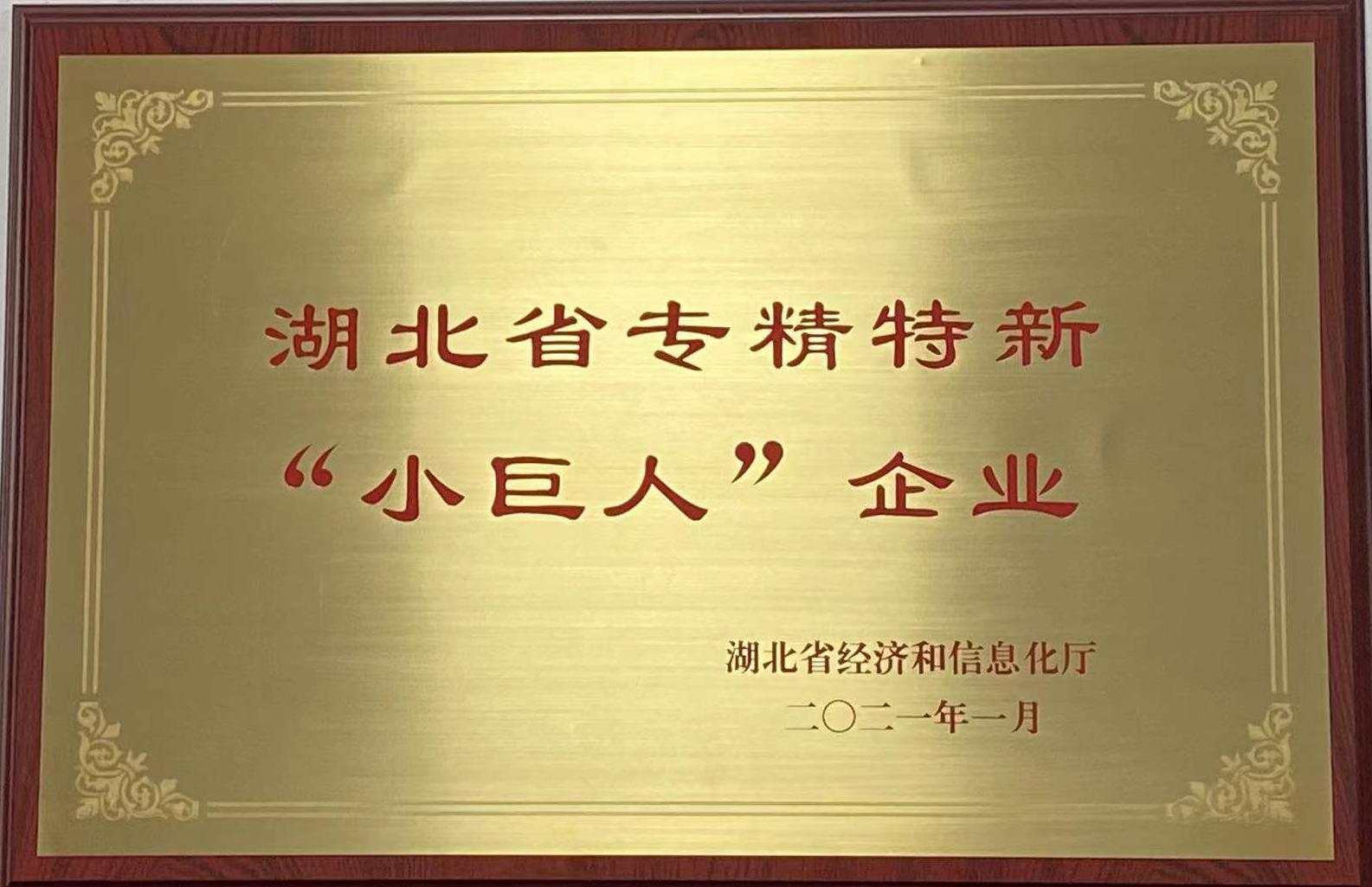 湖(hu)北省專(zhuān)精特新(xin)小巨人(ren)