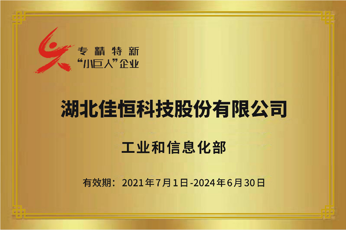 國(guó)家級專(zhuan)精特新(xin)小巨人(ren)2021